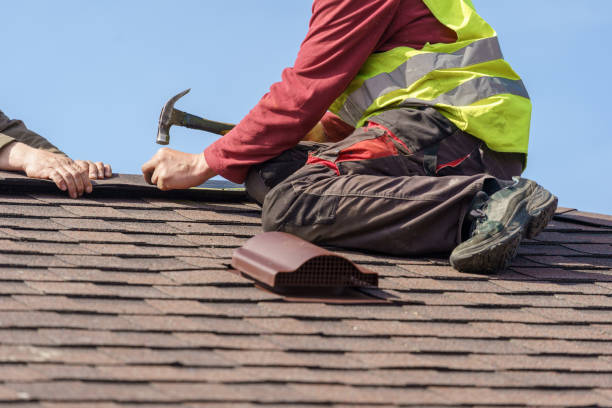 Best Roof Gutter Cleaning  in Kingston Springs, TN